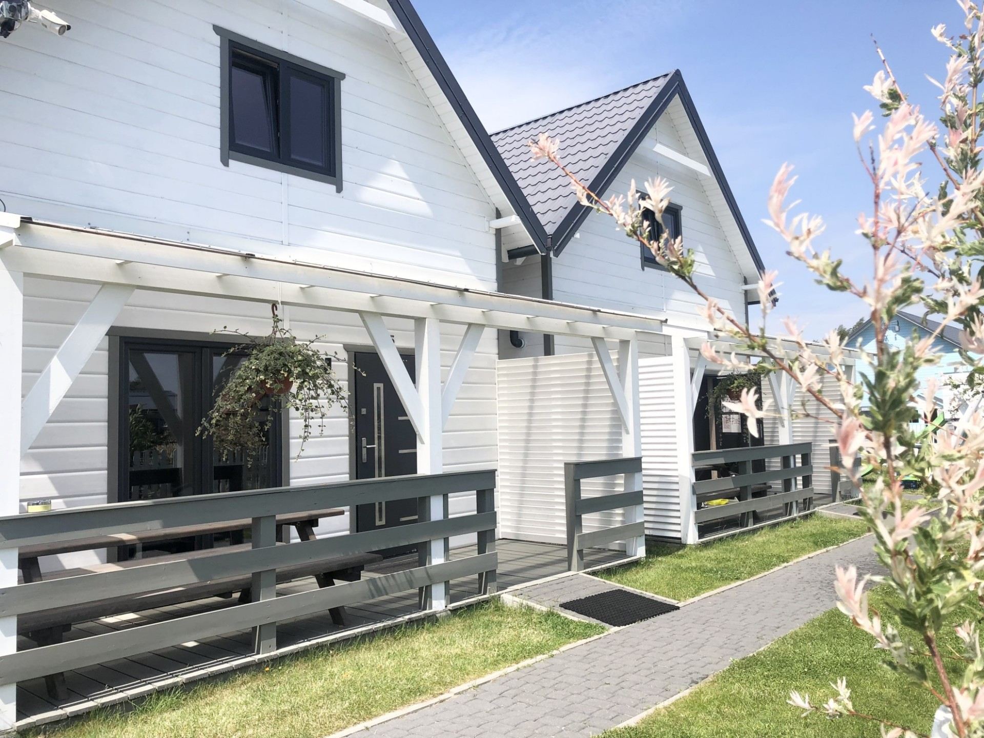 drewniane domki wakacyjne, wierzba japońska